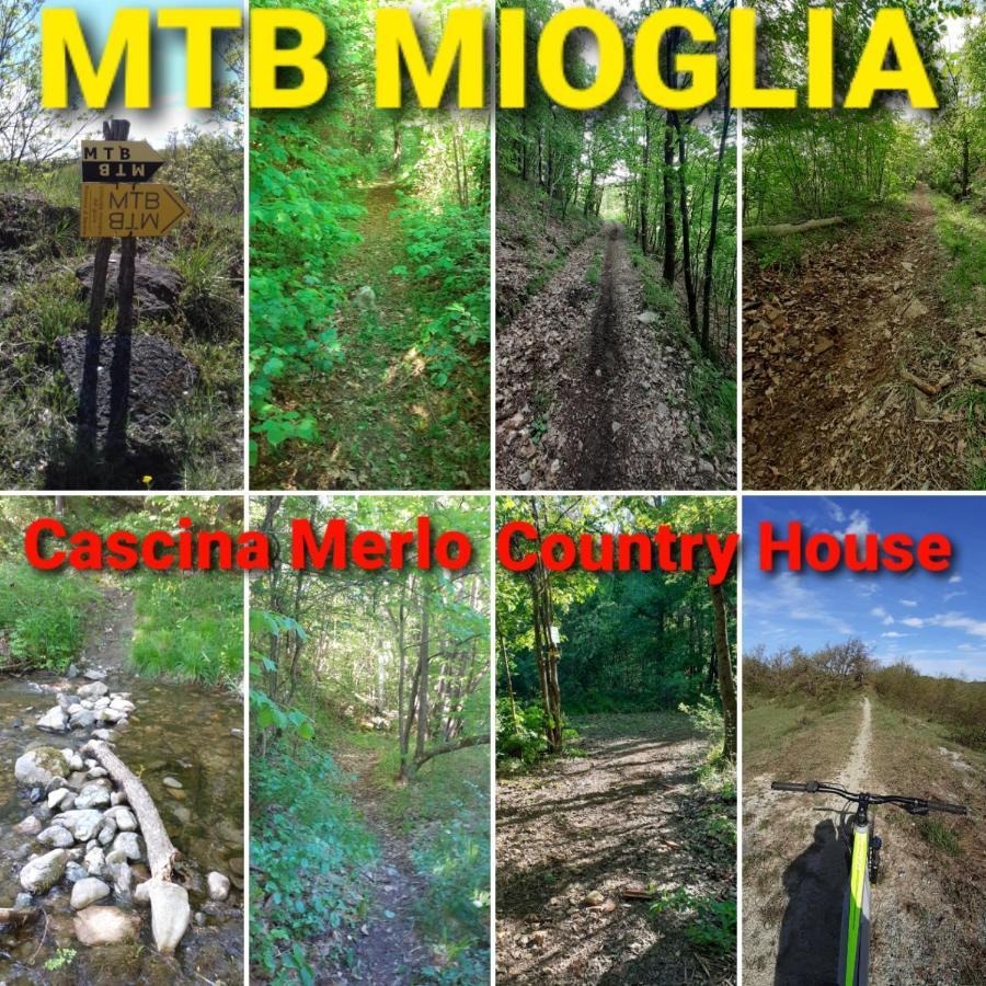 Cascina Merlo Country House Pareto Zewnętrze zdjęcie
